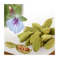 Whole green cardamom pods